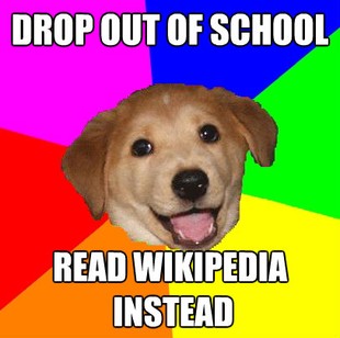 Advice Dog