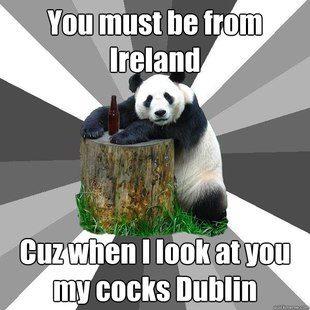 Pickup-Line Panda