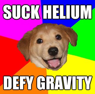 Advice Dog