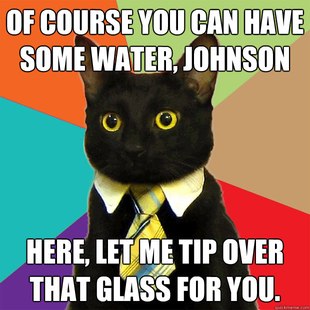 Business Cat