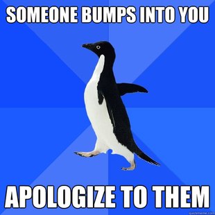 Socially Awkward Penguin