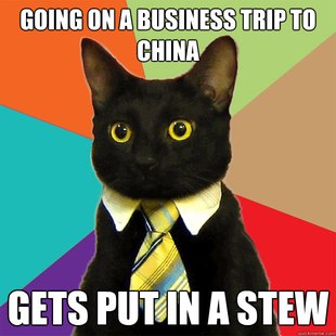 Business Cat