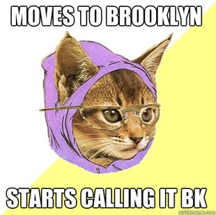 Hipster Kitty