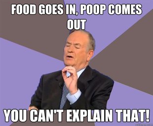 Bill O Reilly