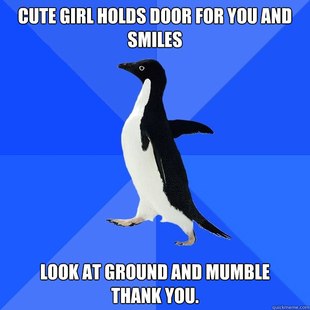 Socially Awkward Penguin