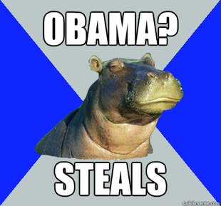Skeptical Hippo