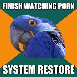 Paranoid Parrot