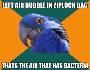Paranoid Parrot