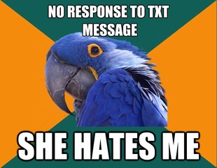Paranoid Parrot
