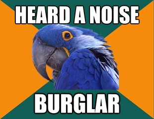 Paranoid Parrot