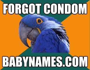 Paranoid Parrot