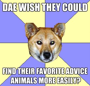 DAE Dingo