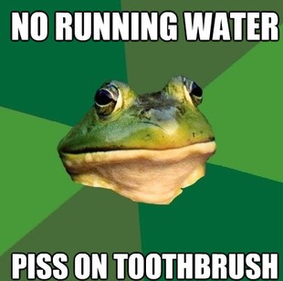 Foul Bachelor Frog