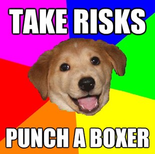Advice Dog