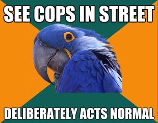 Paranoid Parrot