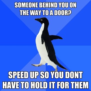 Socially Awkward Penguin