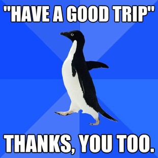 Socially Awkward Penguin
