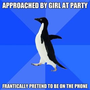 Socially Awkward Penguin