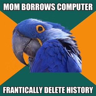 Paranoid Parrot
