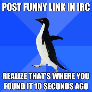 Socially Awkward Penguin