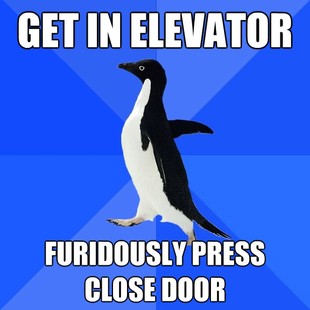 Socially Awkward Penguin