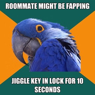 Paranoid Parrot