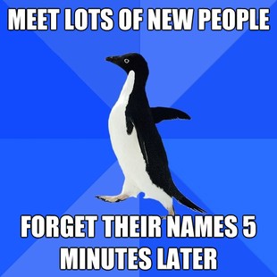 Socially Awkward Penguin