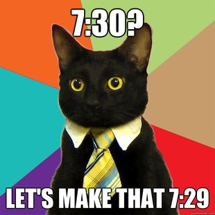 Business Cat