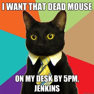 Business Cat