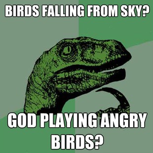 Philosoraptor
