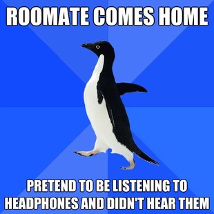 Socially Awkward Penguin