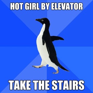 Socially Awkward Penguin