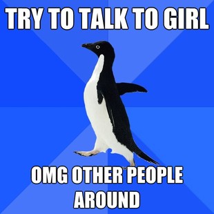 Socially Awkward Penguin