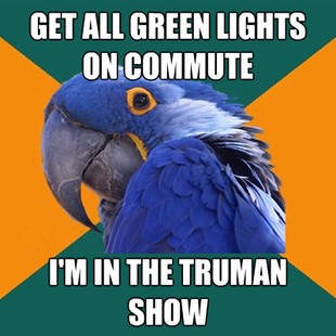 Paranoid Parrot