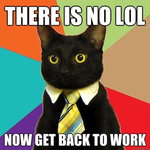 Business Cat