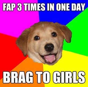 Advice Dog
