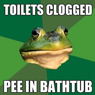 Foul Bachelor Frog
