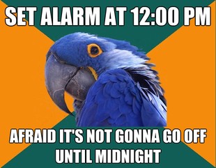 Paranoid Parrot