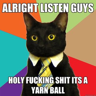Business Cat