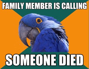 Paranoid Parrot
