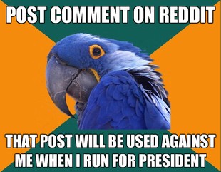 Paranoid Parrot