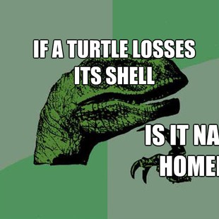 Philosoraptor