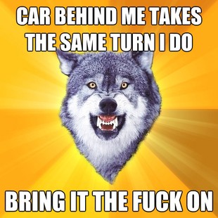 Courage Wolf