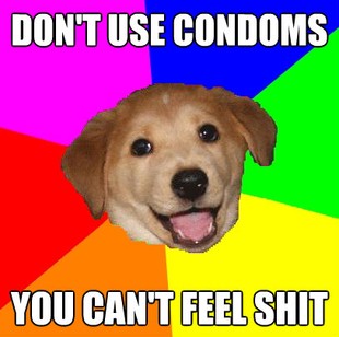 Advice Dog