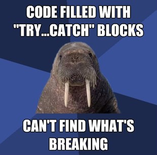 Web Developer Walrus