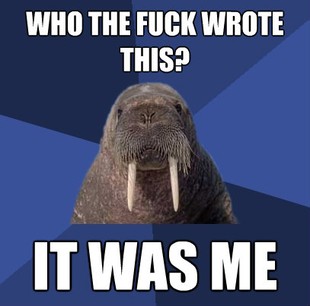 Web Developer Walrus