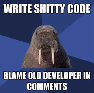Web Developer Walrus