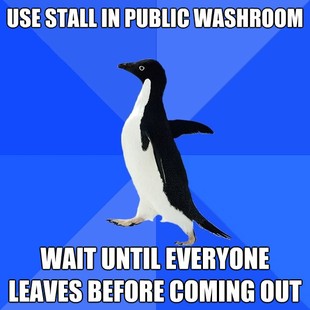 Socially Awkward Penguin