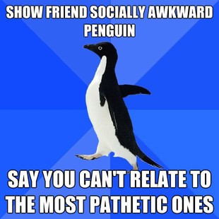Socially Awkward Penguin