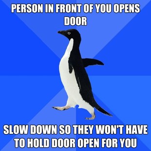 Socially Awkward Penguin